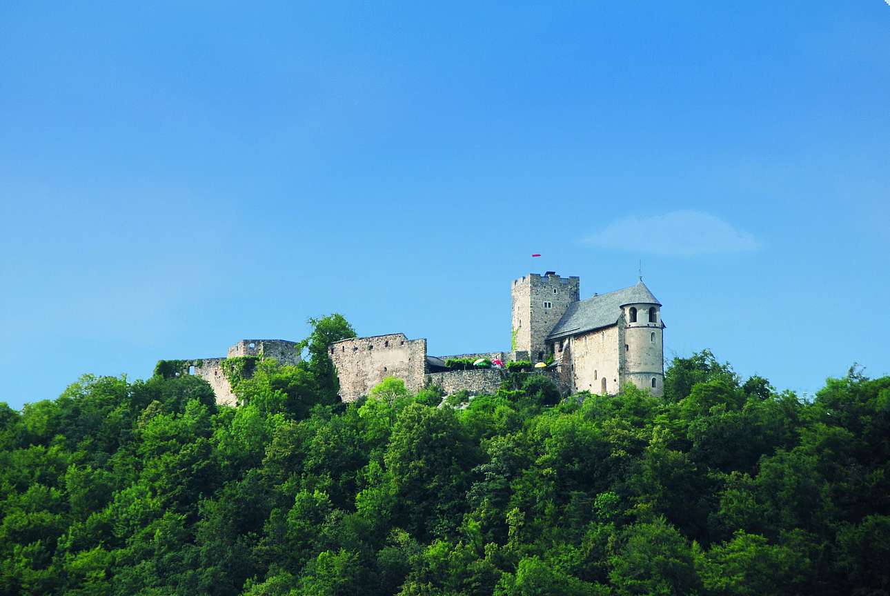 Blick auf die Burg Gösting